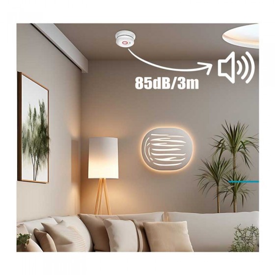 ELSMDW WiFi