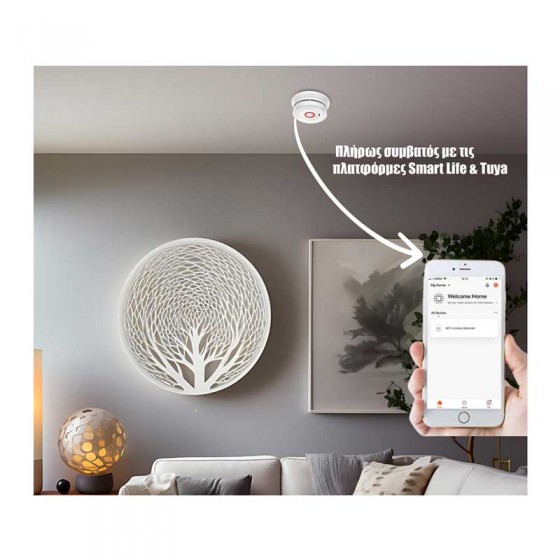 ELSMDW WiFi