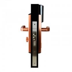 ORBITA E3192 GOLD ORBITA E3192 GOLD